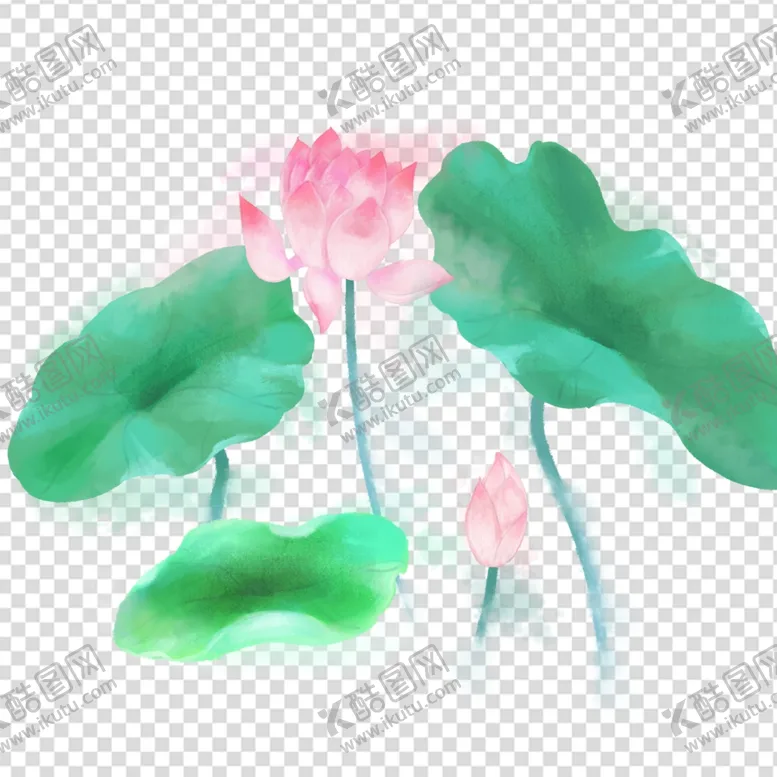 编号：91827002082318145751【酷图网】源文件下载-荷花 莲花 