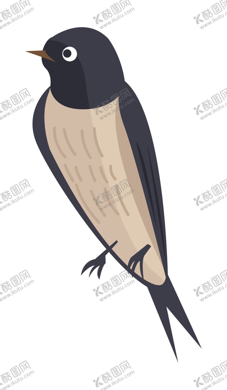 编号：78762205050838452215【酷图网】源文件下载-免扣燕子素材图片