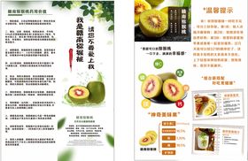 插画红心猕猴桃美食水果海报