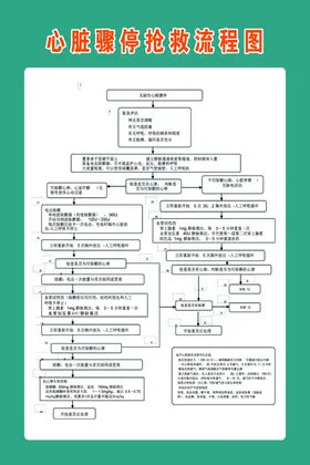 心脏骤停抢救流程图