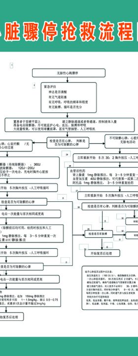 心脏骤停抢救流程图