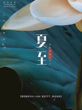 夏至二十四节气海报