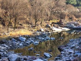 秋日山水