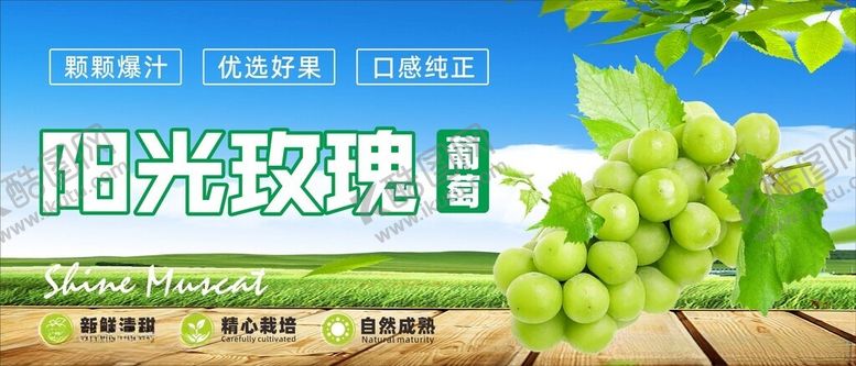 编号：35796001311842389138【酷图网】源文件下载-阳光玫瑰