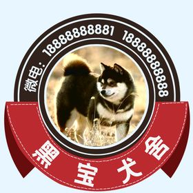 乘坐携犬