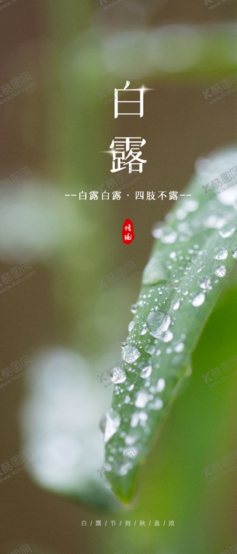 编号：61934407050737114475【酷图网】源文件下载-白露海报