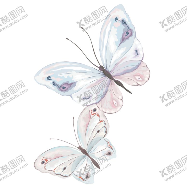 编号：80551807081254409306【酷图网】源文件下载-蝴蝶素材