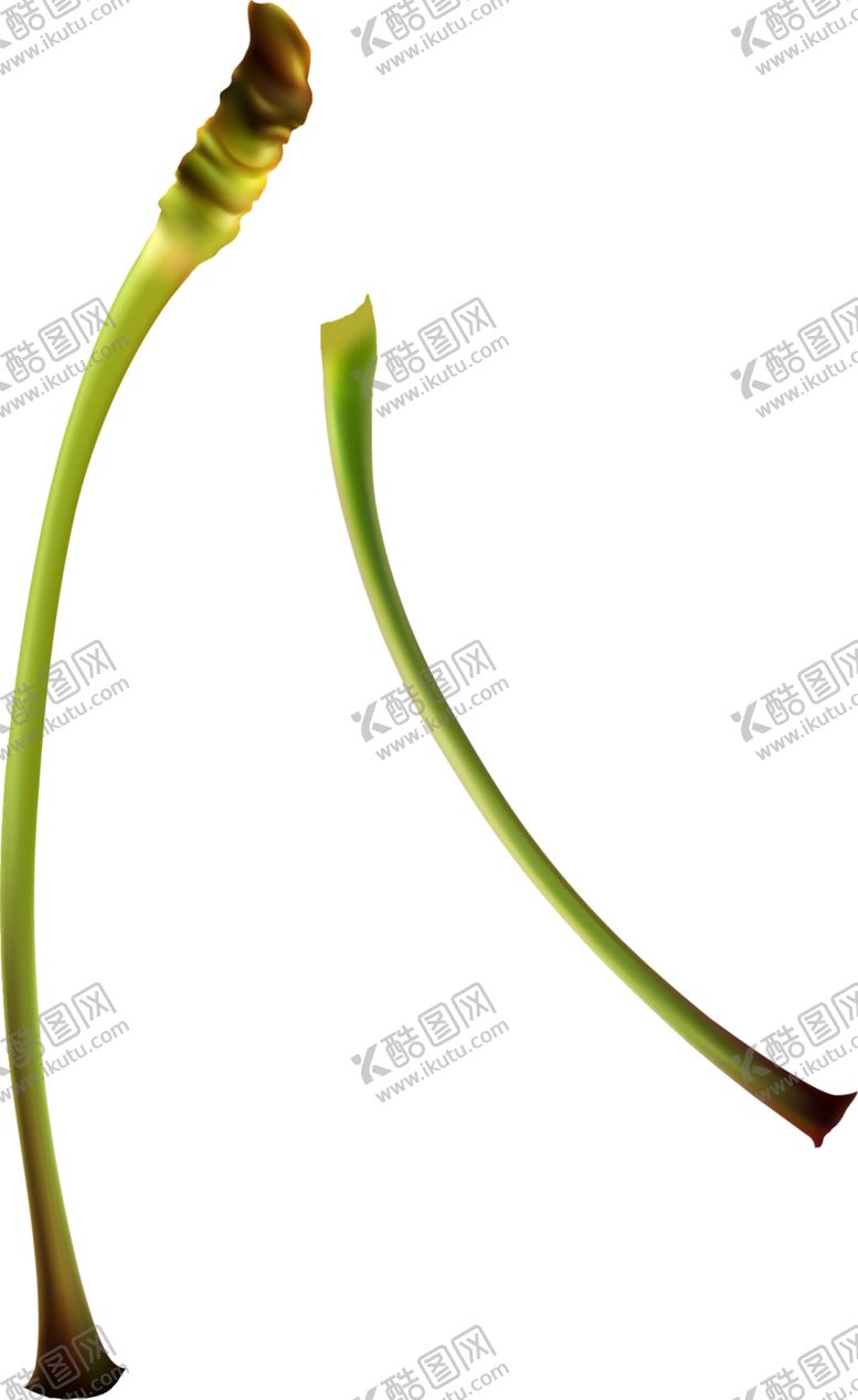 编号：83669510252346273752【酷图网】源文件下载-绿色植物