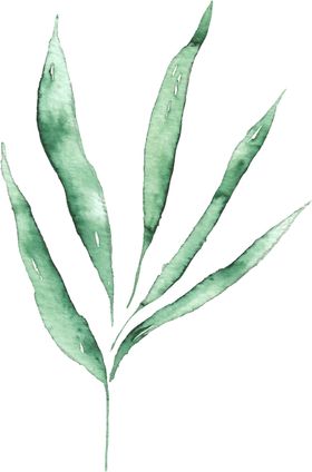 海报元素花草元素展架元素