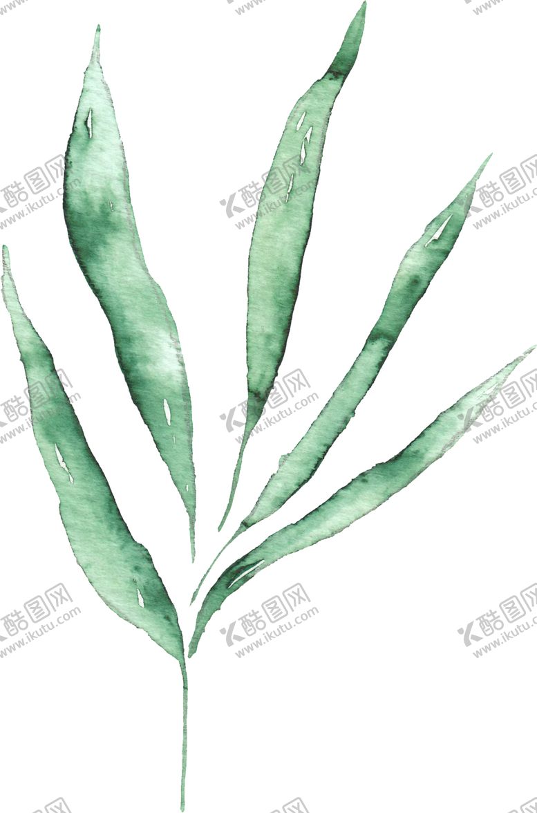 编号：21687109191109561172【酷图网】源文件下载-海报元素花草元素展架元素