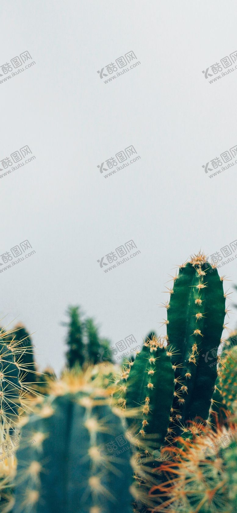 编号：66250809260417225942【酷图网】源文件下载-手机壁纸