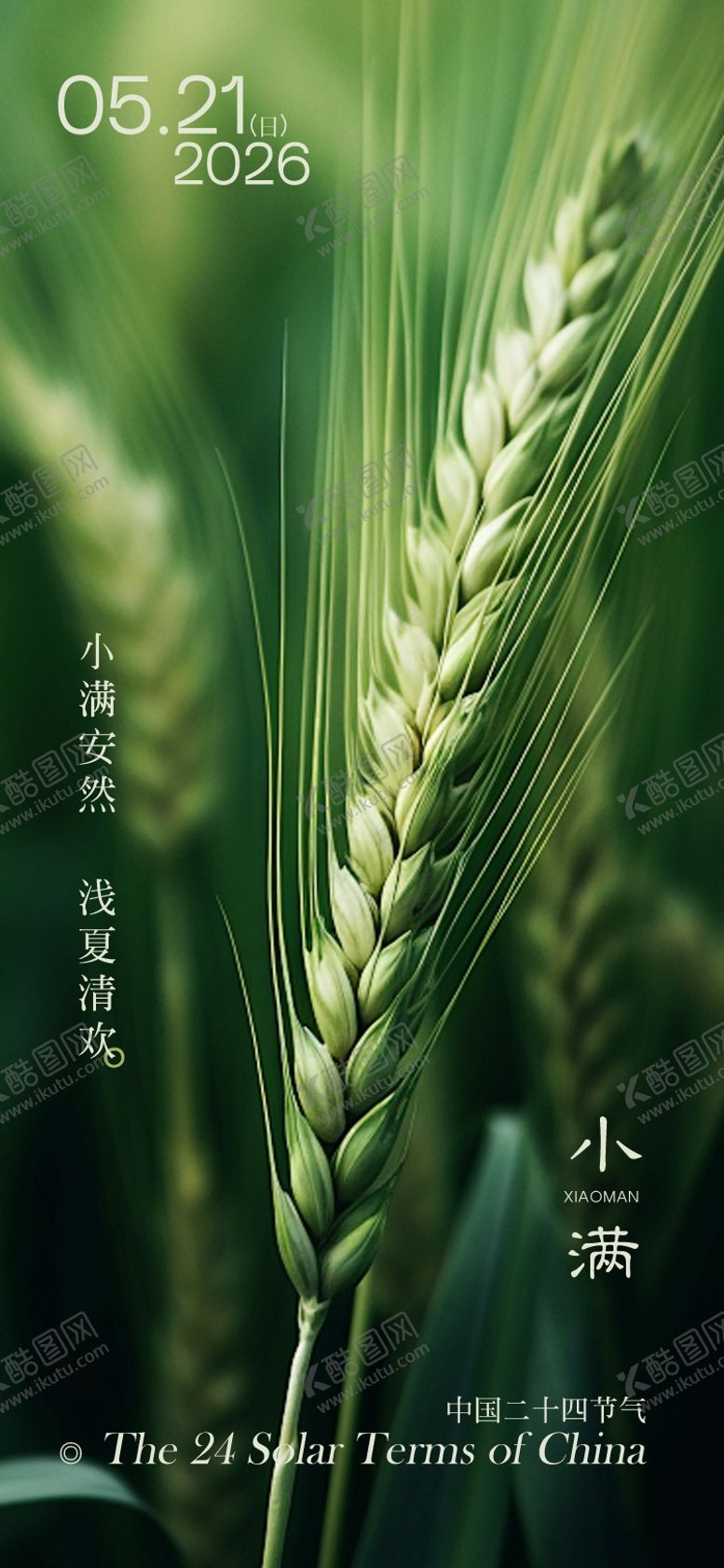 编号：41604105222322203509【酷图网】源文件下载-小满海报