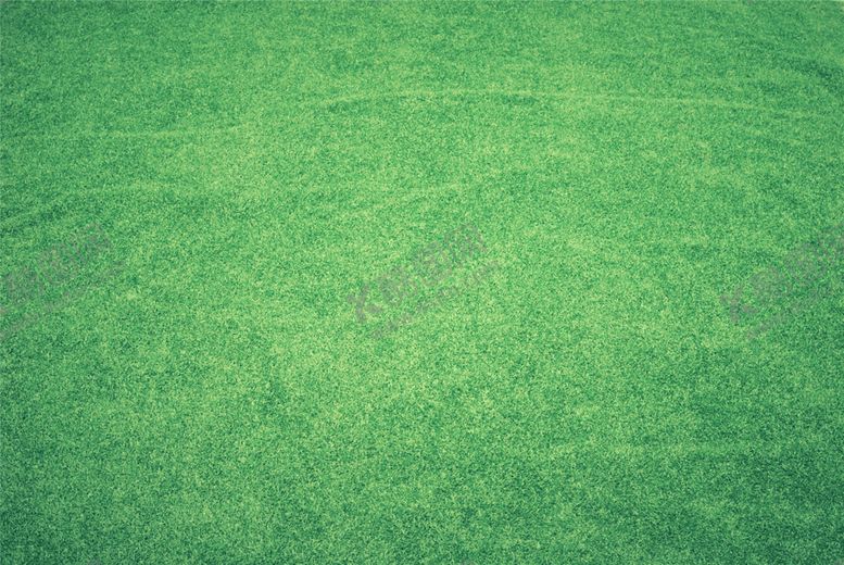 编号：56985010071659416572【酷图网】源文件下载-草地