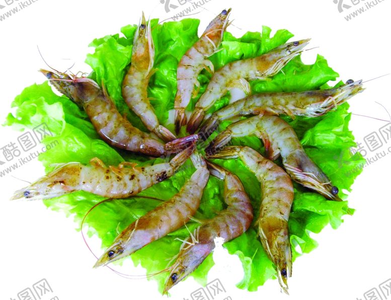 编号：65649310050746256404【酷图网】源文件下载-家常菜美食