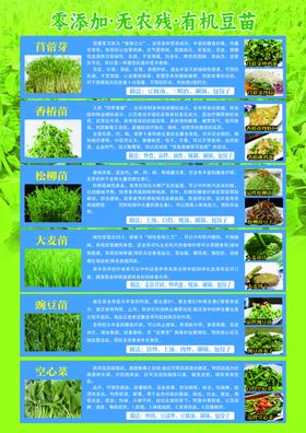 多种绿植展示