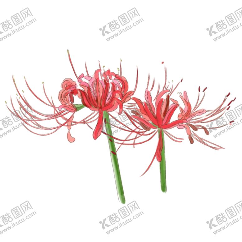 编号：50496410260250448593【酷图网】源文件下载-中国古风传统花鸟图案
