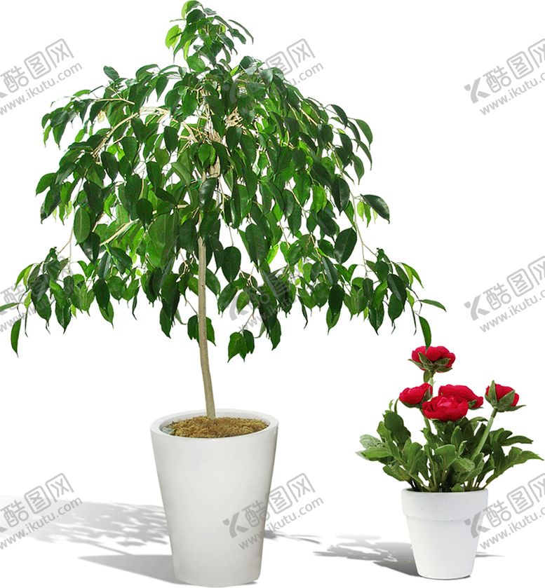 编号：96126509251438351096【酷图网】源文件下载-绿色相框