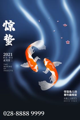 惊蛰贴片微信转发蝴蝶