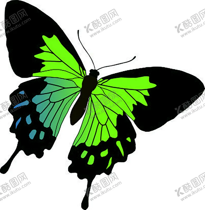 编号：82938801130422218065【酷图网】源文件下载-蝴蝶