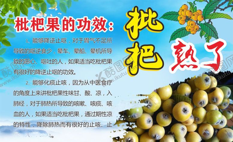 编号：52207607011356478892【酷图网】源文件下载-枇杷熟了