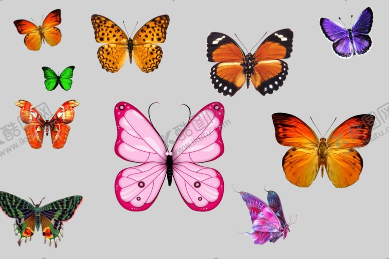 编号：28875010151232377790【酷图网】源文件下载-蝴蝶