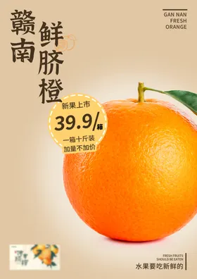 活动海报橘子黄色橙子