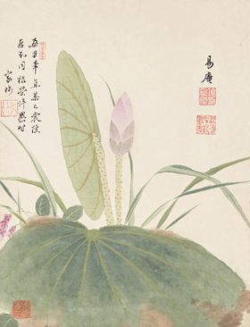 精美工笔花卉图