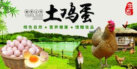 土鸡蛋