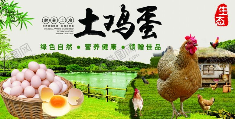 编号：56539509130857441023【酷图网】源文件下载-土鸡蛋