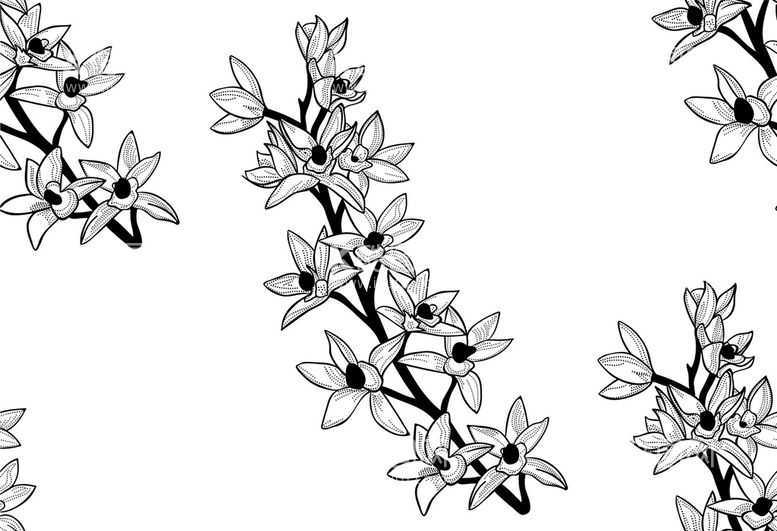 编号：47083909270818341304【酷图网】源文件下载-花卉线稿图案