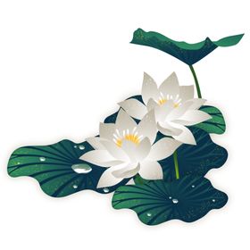 荷花元素