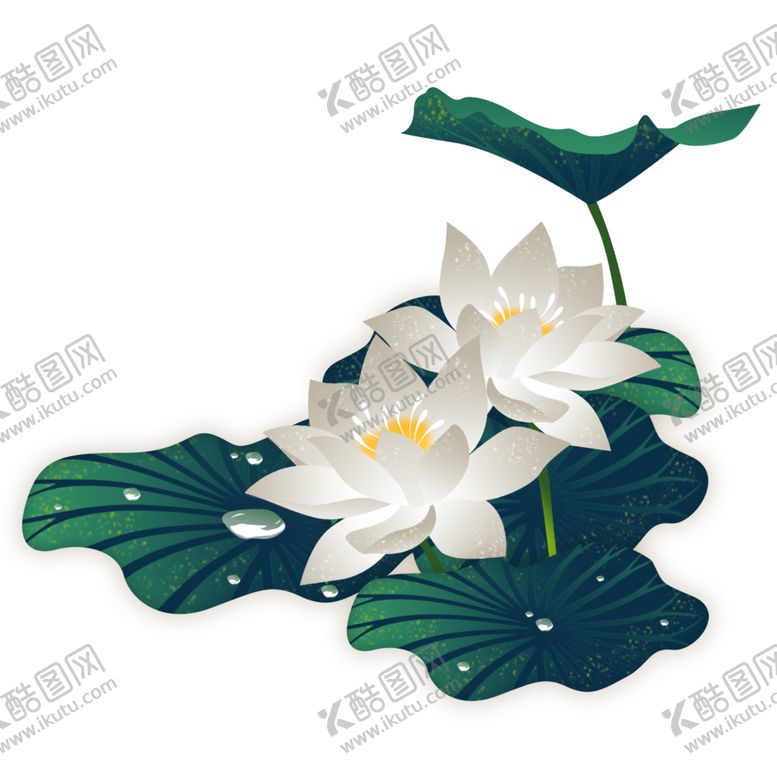 编号：77993105111941327518【酷图网】源文件下载-荷花元素