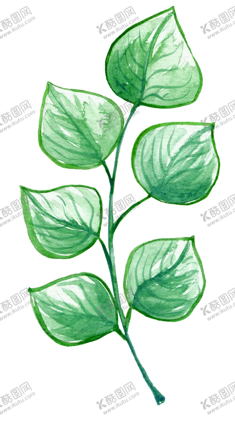编号：64211606282108174280【酷图网】源文件下载-手绘植物