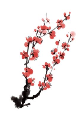 中国风水墨梅