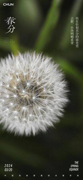 春分节气海报天蒲公英简约