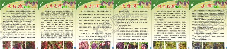 编号：54005405092341115437【酷图网】源文件下载-葡萄品种介绍