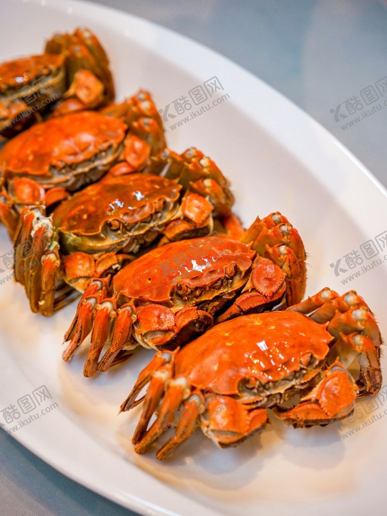 编号：74549111020437463219【酷图网】源文件下载-大闸蟹