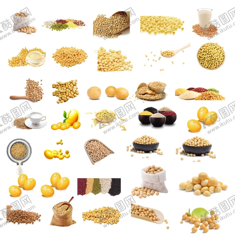 编号：10745006291902183338【酷图网】源文件下载-黄豆大豆素材源文件