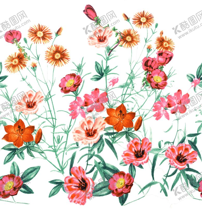 编号：27315009150100120876【酷图网】源文件下载-大牌花 定位花