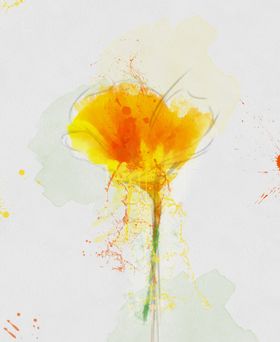 手绘花中式玄关玄关背景走廊玄关画