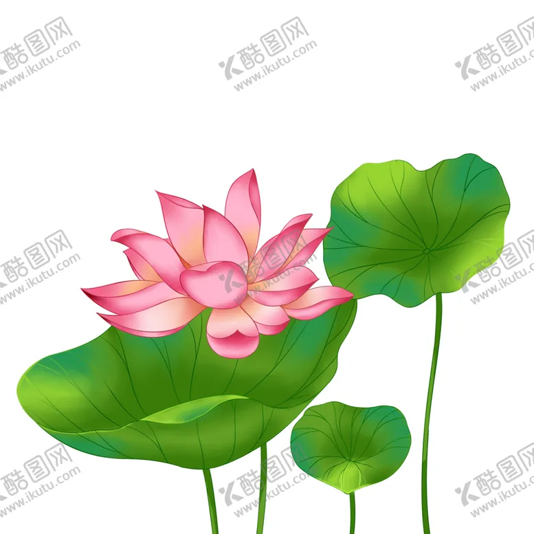 编号：37553004180115563241【酷图网】源文件下载-荷花元素