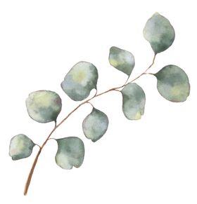 植物花朵装饰图案
