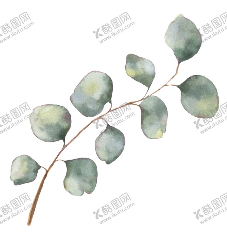 编号：41815509280916244492【酷图网】源文件下载-植物花朵装饰图案