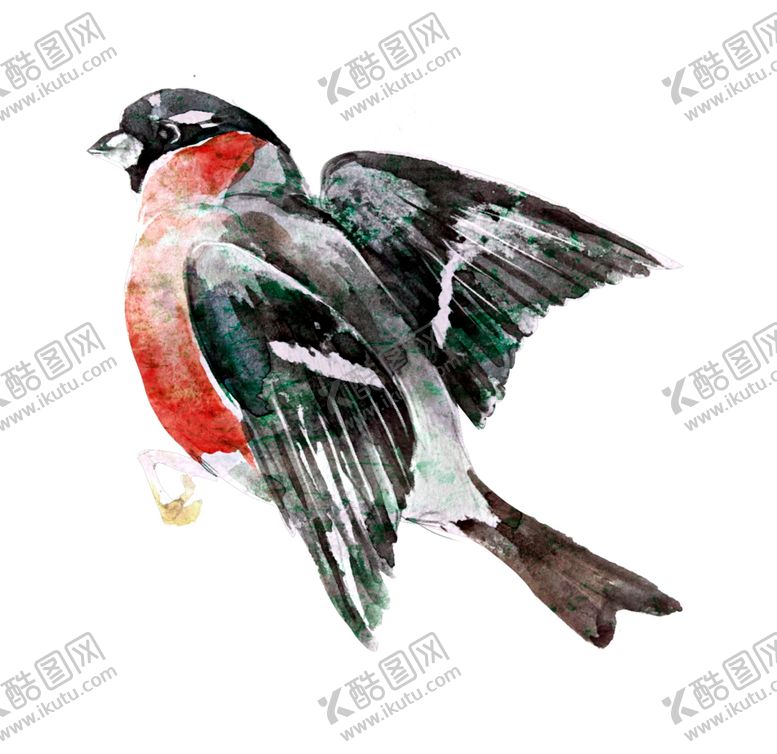 编号：46126810032202041380【酷图网】源文件下载-水彩绘画鸟儿