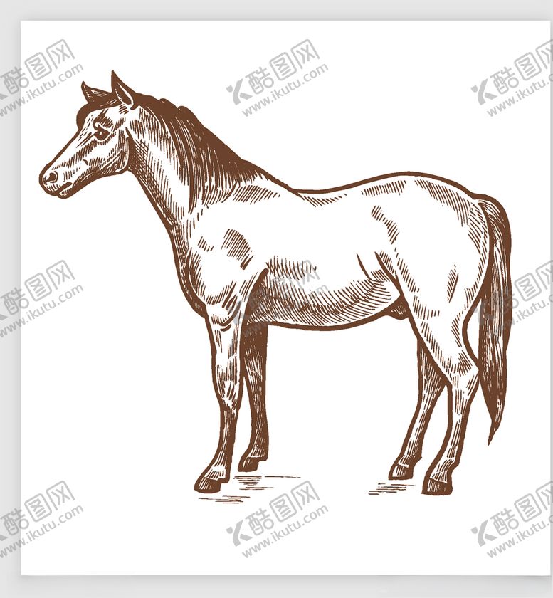 编号：97315709131227145952【酷图网】源文件下载-矢量卡通动物元素