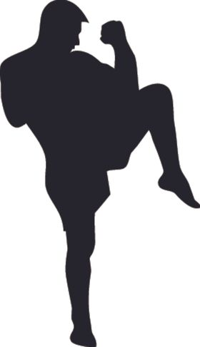 中华武术