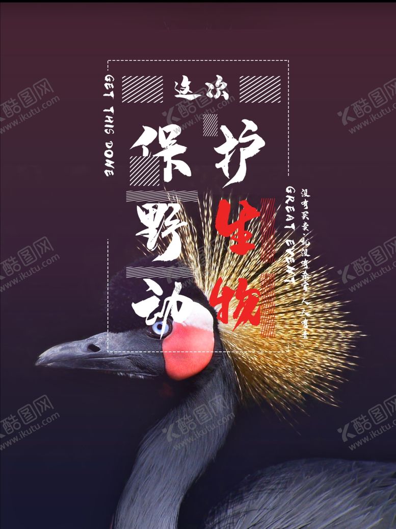 保护野生动物禁止捕杀宣传禁止捕食
