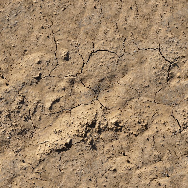 编号：95707710111129142849【酷图网】源文件下载-地表纹理高清贴图