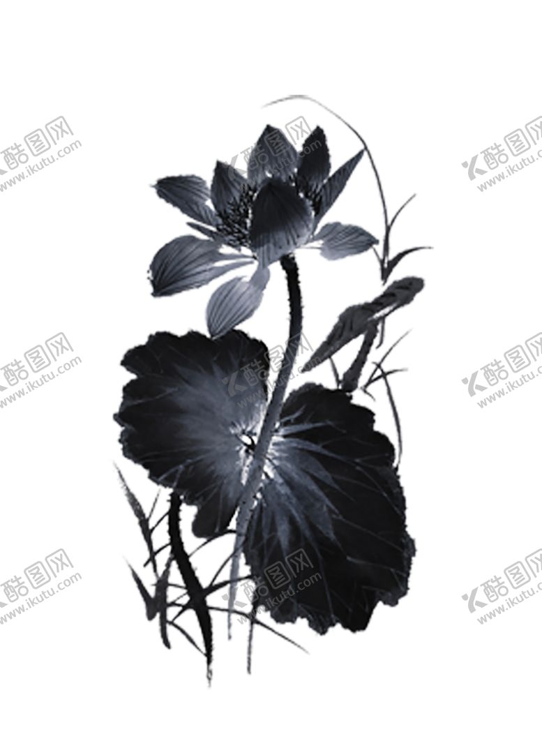 编号：77672606170412369911【酷图网】源文件下载-水墨荷花粉色荷花荷花意境