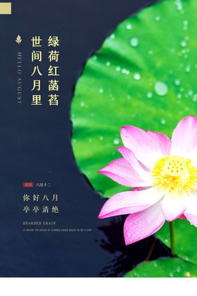 您好八月